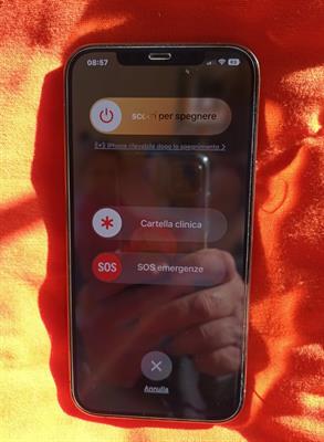 IPhone12 Pro Max, come nuovo - Foto 4