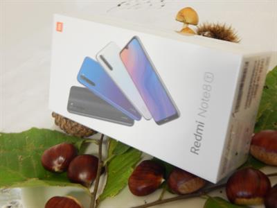 Foto - 8