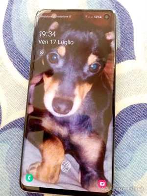 Samsung S10 con 20 Mesi di Garanzia